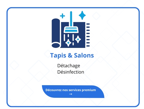 Lavage tapis & salon h&s perfect